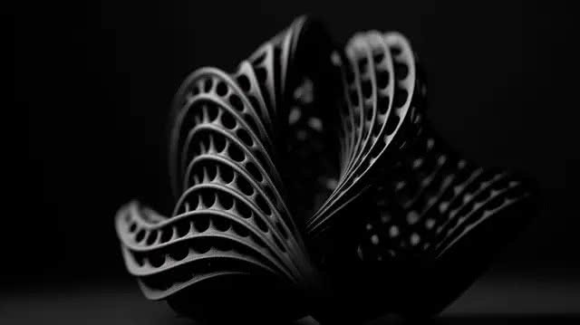 Monochrome generative lattice print